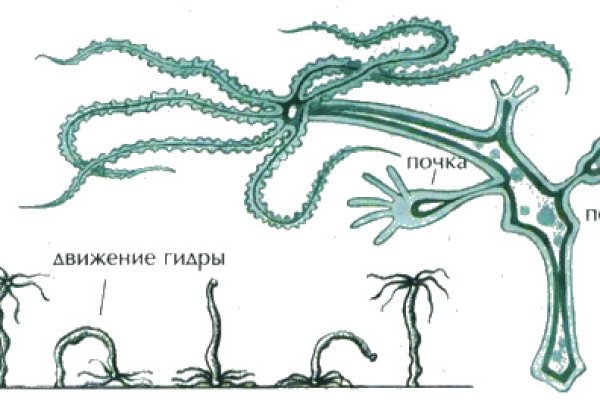 Кракен тор ссылка онион